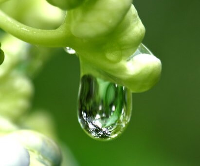 湿度が高いと人はどうなる 体調がおかしい人に対策法教えますぜ